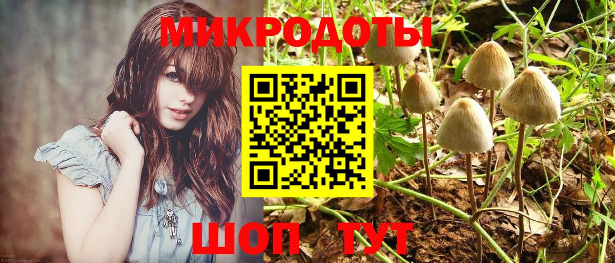 Галлюциногенные грибы Magic Shrooms Лабинск